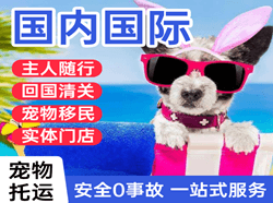 北京大兴机场托运国际宠物托运 【国